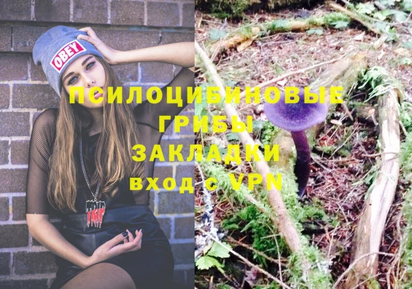 соль курить ск Зеленодольск