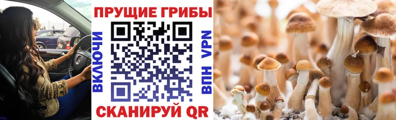 Галлюциногенные грибы ЛСД  Купить  Батайск 